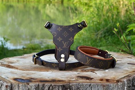 louis vuitton men's harness|louis vuitton dog collar sizes.